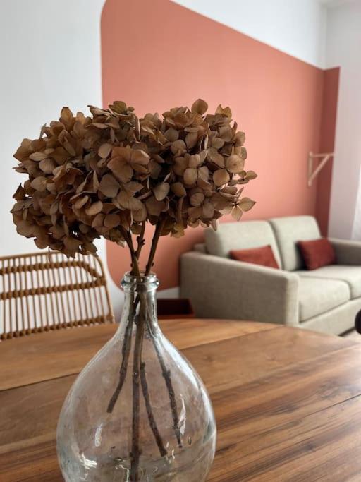 La Maison De Camille Climatisation Parking Prive Wifi Carcassonne Luaran gambar